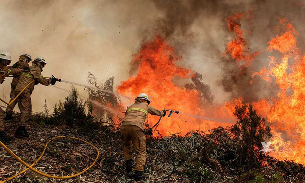 incendio forestal baja california periodo critico veraz informa